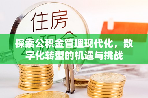 肥乡探索公积金管理现代化，数字化转型的机遇与挑战